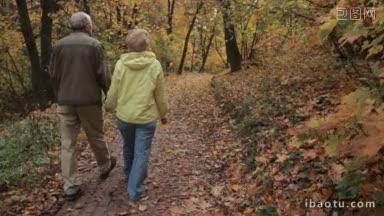 浪漫的老年夫妇手牵着手走过金秋公园的后景